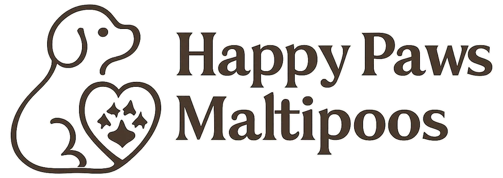 Maltipoo Puppies Home